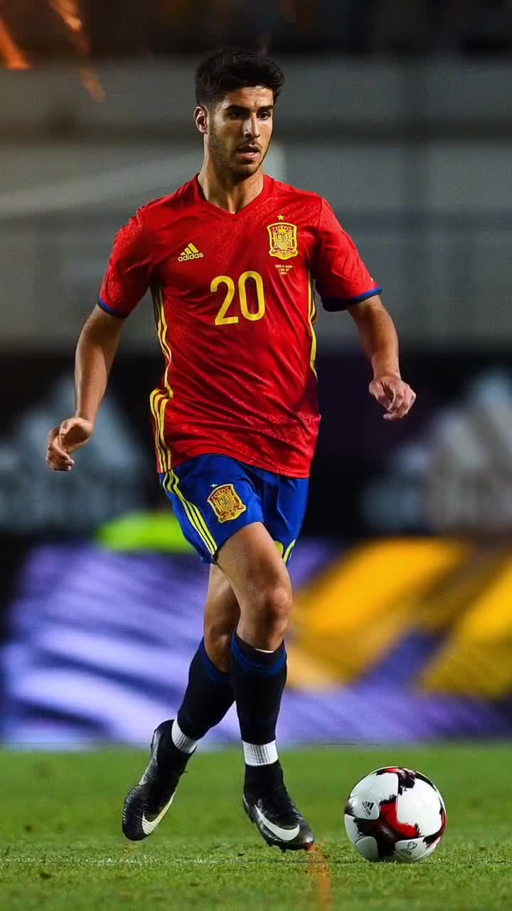 常规赛12月31日：辽宁本钢VS上海久事 王哲林集锦